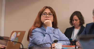 Diputada Bello advierte graves riesgos en propuesta de Sala Cuna Universal financiada con el Seguro de Cesantía