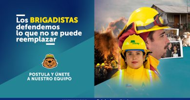 CONAF abre postulaciones para labores de combate de incendios forestales 2026-2027