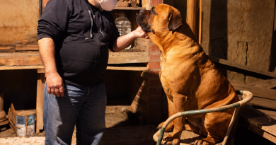 César Salinas, médico veterinario sanfelipeño: “Nuestras mascotas solo nos piden amor, caricias y alimentos”